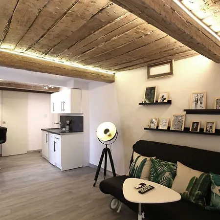 Gregbnb - T2 Ancien Et Moderne - Parking Inclus - 15min Gare Apartment