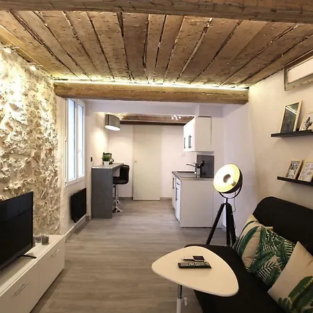 Apartment Gregbnb - T2 Ancien Et Moderne - Parking Inclus - 15min Gare *